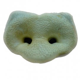 Штерн (ПЯТАЧОК СВИНОЙ КАЛЬЦИНИРОВАННЫЙ) сушеное лакомство для собак - МАЛЕНЬКИЙ