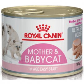 Royal Canin MOTHER & BABYCAT (БЕБІКЕТ ІНСТИНКТИВ) Вологий корм для кошенят від народження до 4 місяців Royal Canin MOTHER & BABYCAT (БЕБІКЕТ ІНСТИНКТИВ) Вологий корм для кошенят від народження до 4 місяців