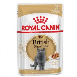 Royal Canin BRITISH SHORTHAIR ADULT влажный корм для кошек породы британская короткошерстная Royal Canin BRITISH SHORTHAIR ADULT влажный корм для кошек породы британская короткошерстная