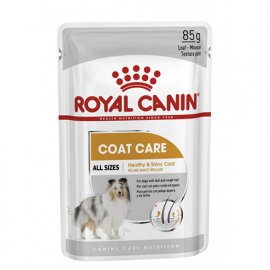 Royal Canin COAT CARE вологий корм для собак для краси та блиску шерсті