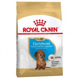 Royal Canin DACHSHUND PUPPY (ТАКСА ПАППІ) корм для цуценята до 10 місяців