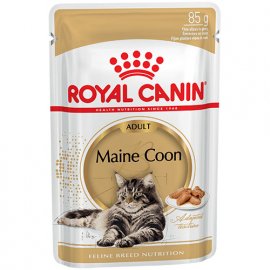 Royal Canin MAINE COON ADULT вологий корм для кішок породи мейн-кун