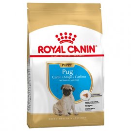 Royal Canin PUG PUPPY (МОПС ПАППІ) корм для цуценята до 10 місяців