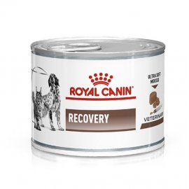 Royal Canin RECOVERY (РЕКАВЕРИ) лечебный влажный корм для собак и кошек Royal Canin RECOVERY (РЕКАВЕРИ) лечебный влажный корм для собак и кошек