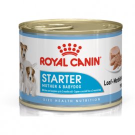Royal Canin STARTER MOUSSE (СТАРТЕР МУС) вологий корм для цуценят та сук при вагітності та лактації Royal Canin STARTER MOUSSE (СТАРТЕР МУС) вологий корм для цуценят та сук при вагітності та лактації