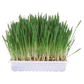 Trixie SMALL ANIMAL GRASS трава для грызунов (6035)