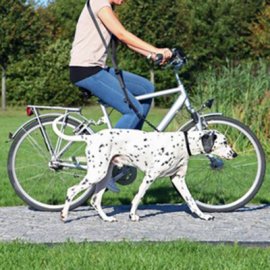 Trixie Bicycle and Jogging Leash - Поводок для собак при езде на велосипеде (1282) Trixie Bicycle and Jogging Leash - Поводок для собак при езде на велосипеде (1282)