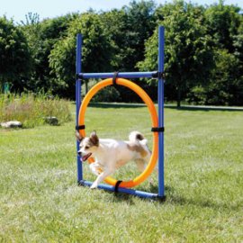 Trixie (Трикси) Tire Jump - Сборный барьер-круг для аджилити (3208)