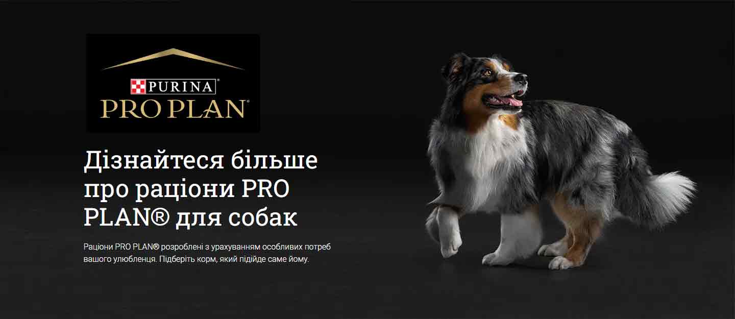 purina_pro_plan_dog_promo